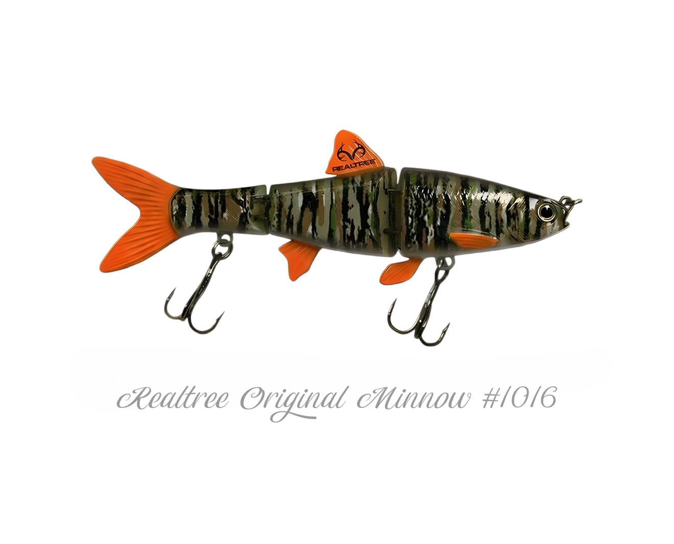 Minnow Family