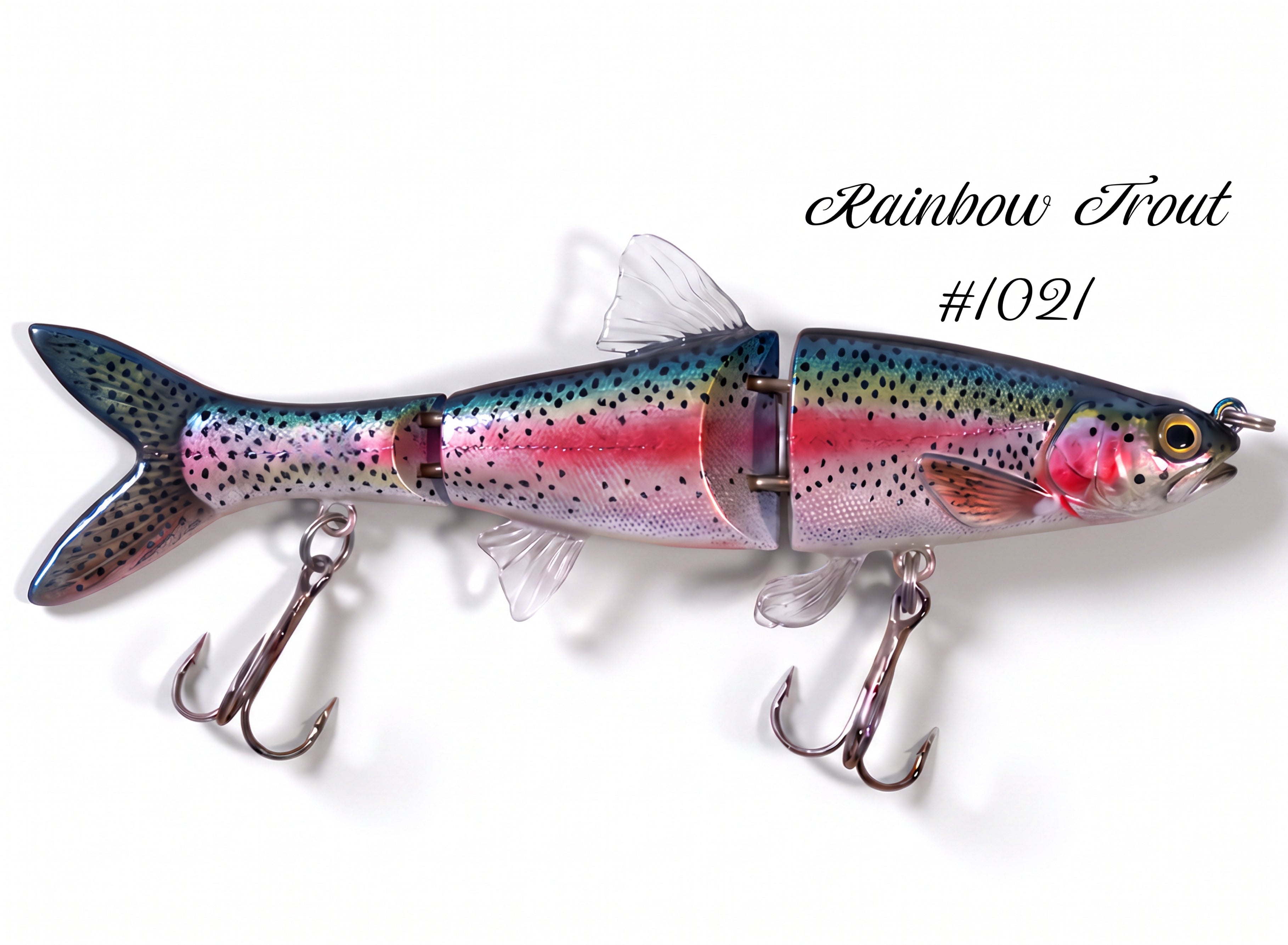 Minnow Family
