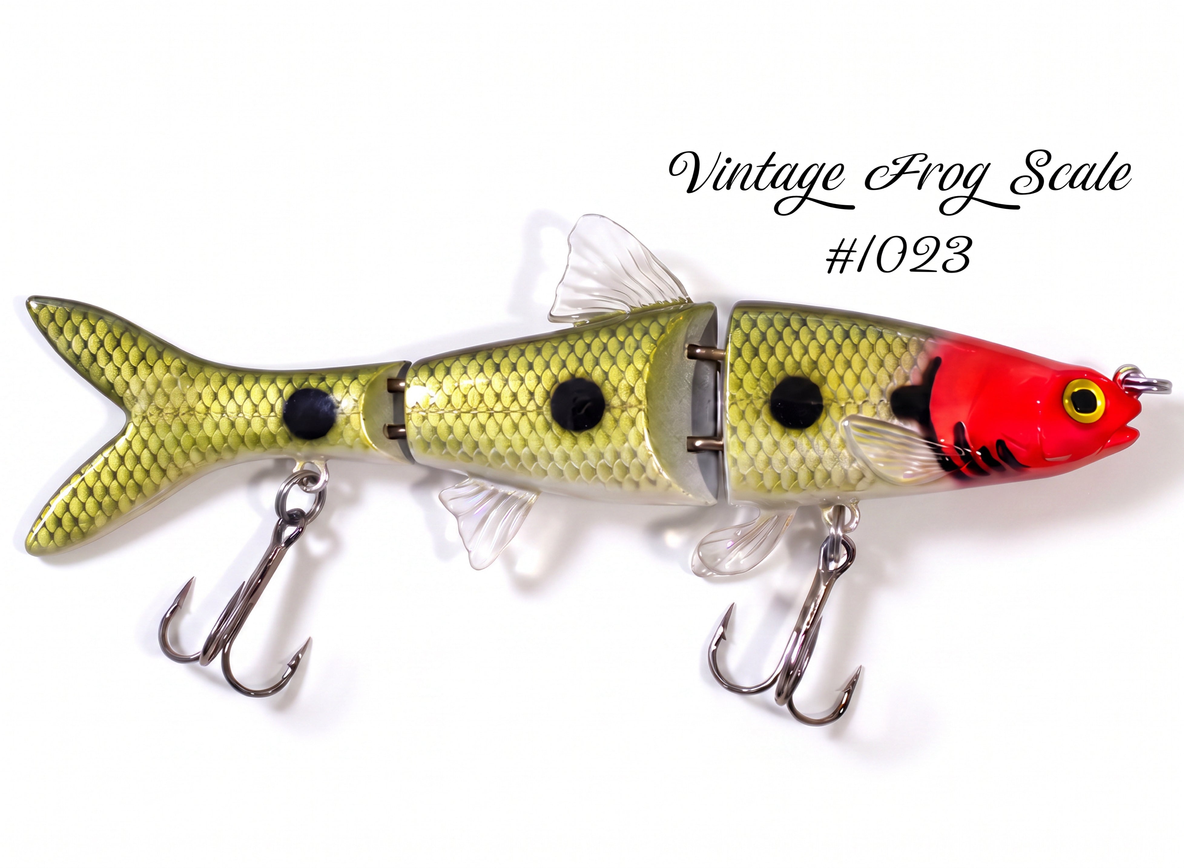 Minnow Family
