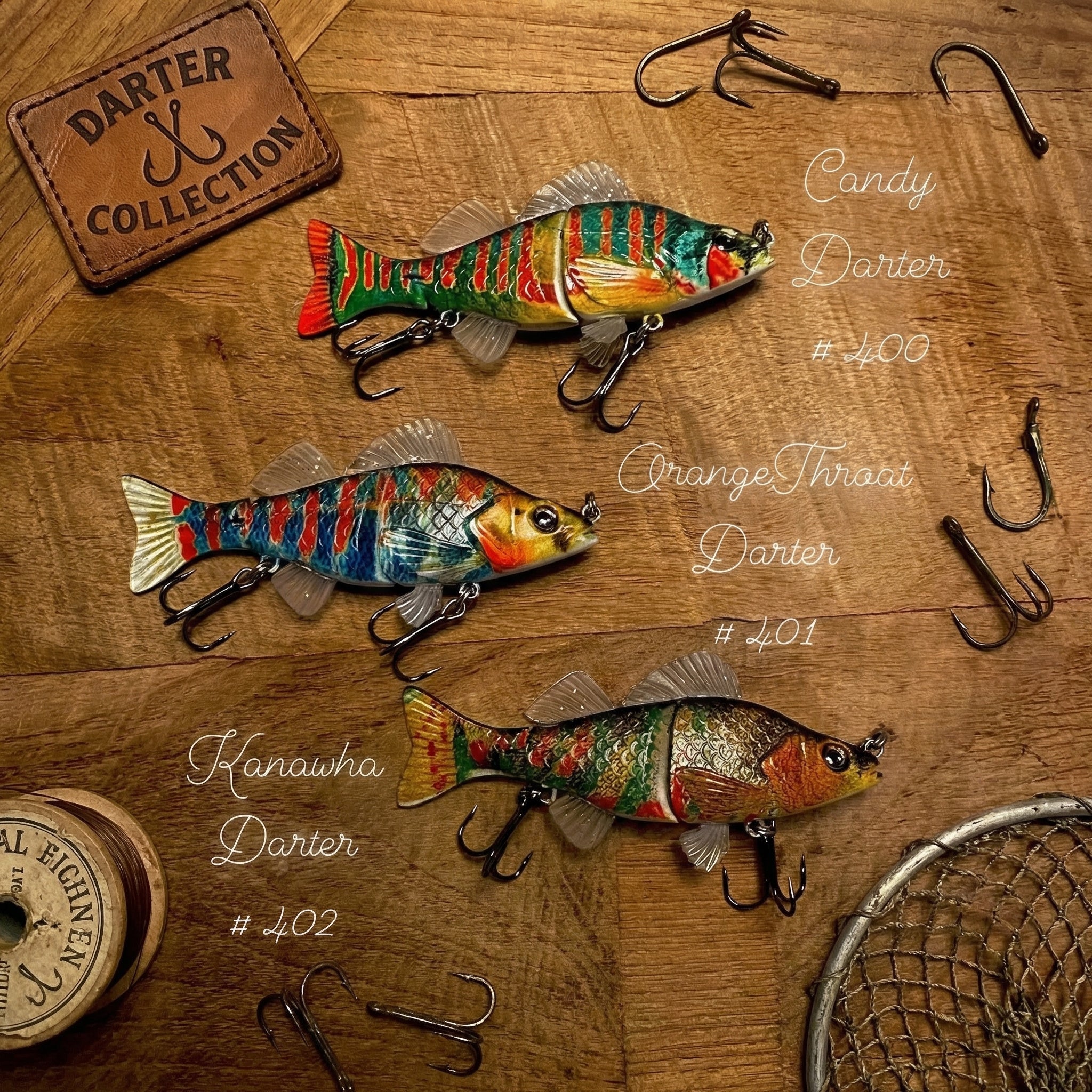 Darter Family