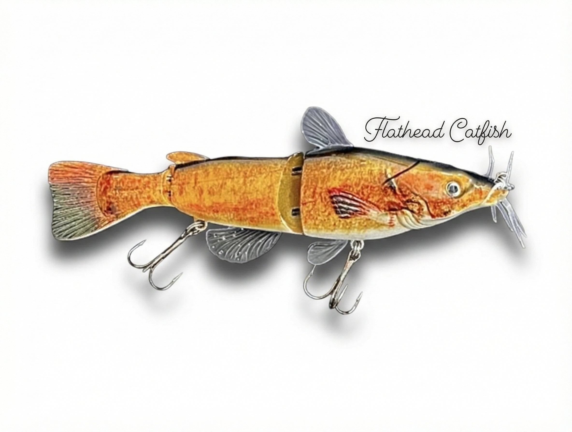 Catfish Family Flathead Catfish #301 Catfish Family Flathead Catfish #301
