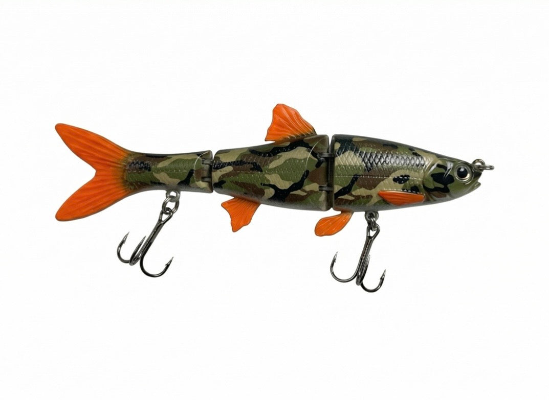 Minnow Family