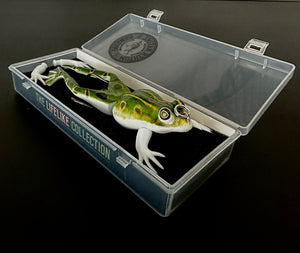 Frog Family
