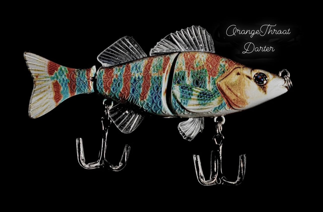 Darter Family Kanawha Darter #402 Darter Family Kanawha Darter #402
