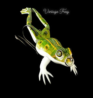 Open image in slideshow, Frog Family
