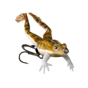 Frog Family