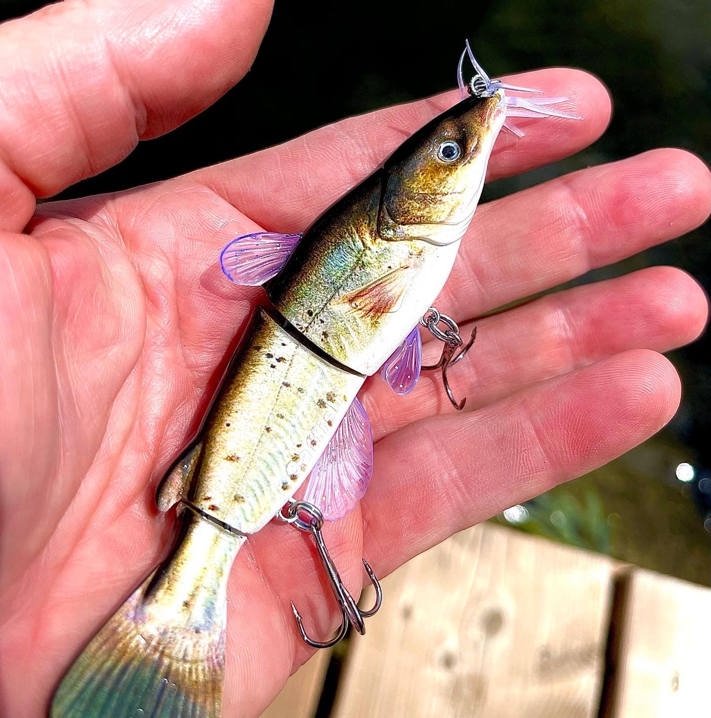 Channel Catfish #300 Mother Nature Lure Co. Channel Catfish #300 Mother Nature Lure Co.